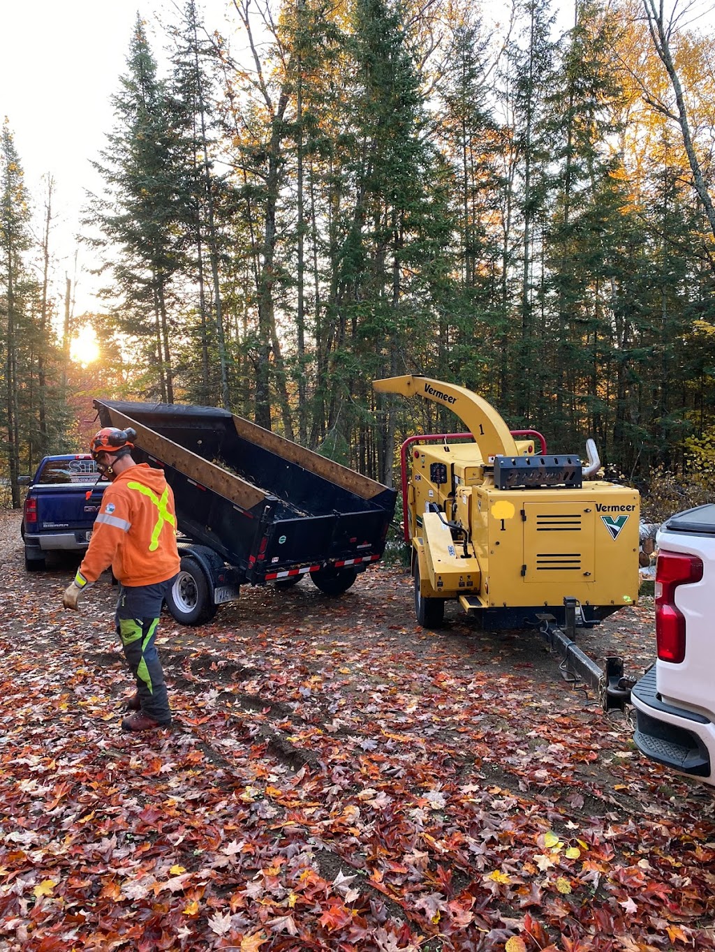 Arborist Alliance | 678 Brookside Rd, Sundridge, ON P0A 1Z0, Canada | Phone: (416) 220-7398