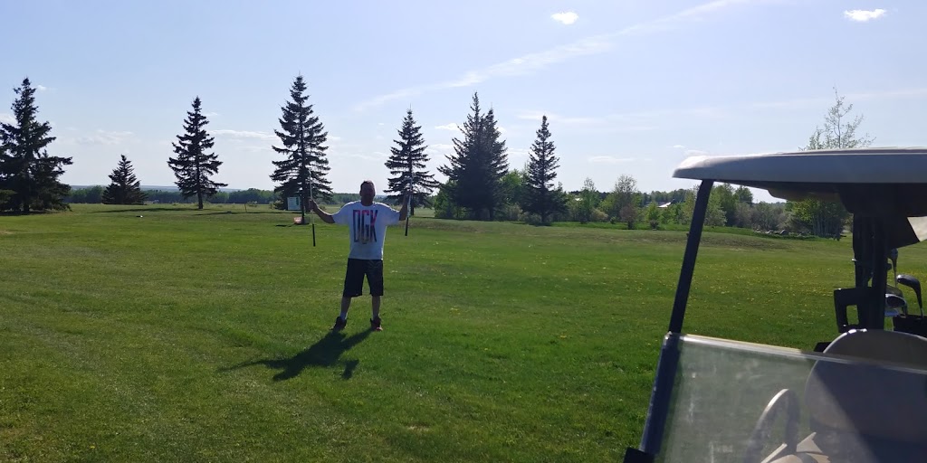 Big Tee Golf Resort RV Park and Motel | 48111 Hwy 20 N, Breton, AB T0C 0P0, Canada | Phone: (780) 696-3883
