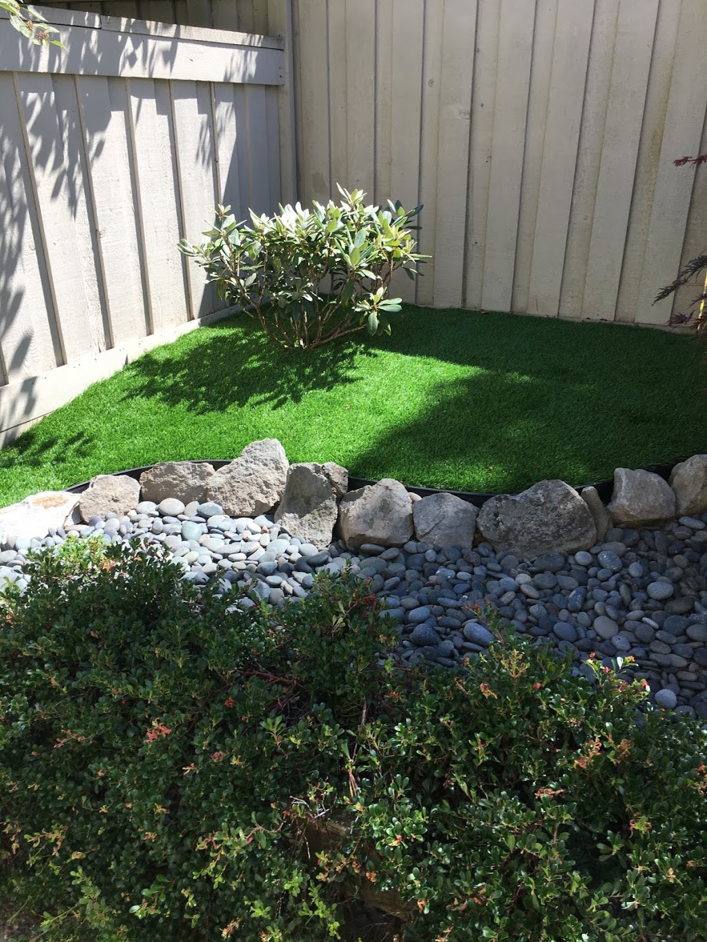 Premium Grass Blades | 20285 Stewart Crescent Unit 102, Maple Ridge, BC V2X 8G1, Canada | Phone: (604) 757-2899