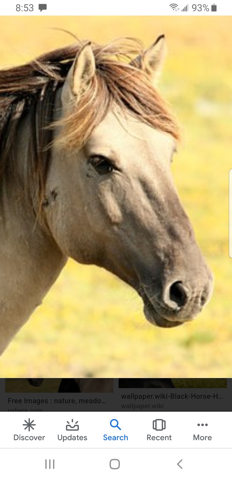 Highview Animal Clinic Ltd | 1104 18 St SE, High River, AB T1V 2A6, Canada | Phone: (403) 652-1300