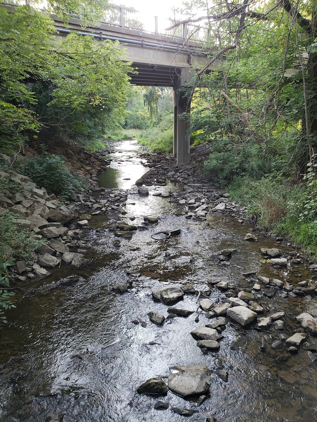 Crooks Hollow Conservation Area | 745 Crooks Hollow Rd, Dundas, ON L9H 5E2, Canada | Phone: (905) 525-2181
