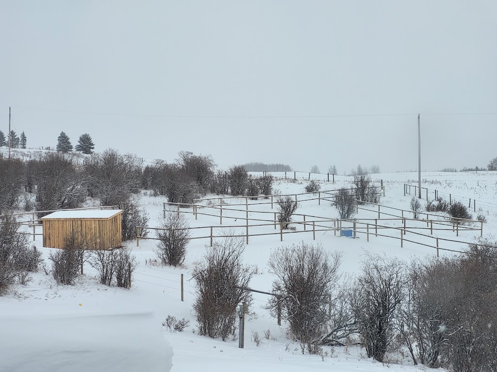 Lochend Stables | 272196 Lochend Rd, Rocky View, AB T4C 2Z7, Canada | Phone: (403) 463-8722