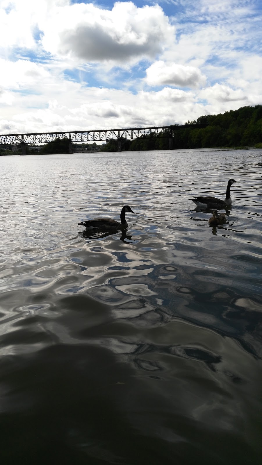 Cambridge Rowing Club | George St N, Cambridge, ON N1S 4X6, Canada | Phone: (226) 218-1335