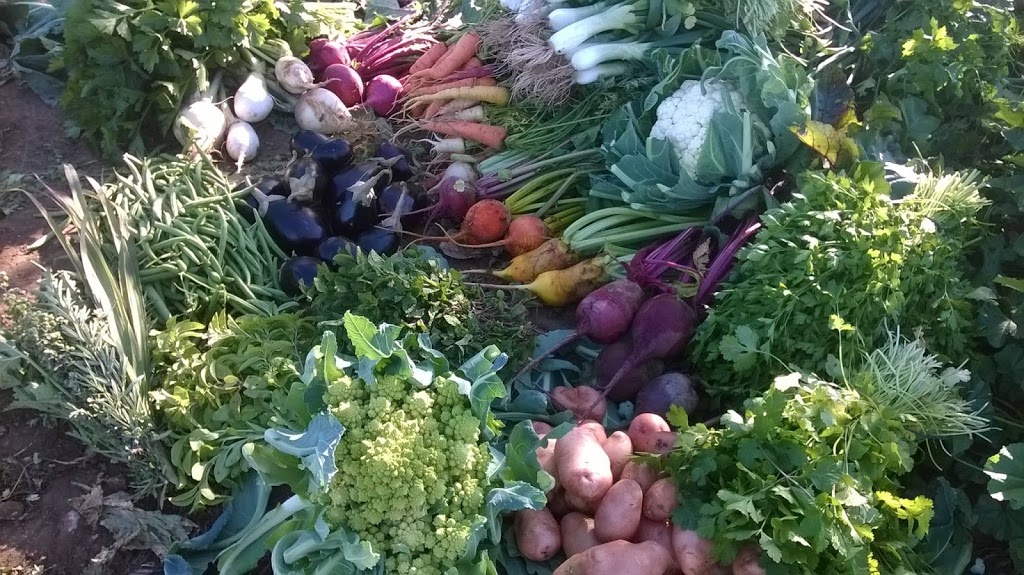 Indian Creek Orchard Gardens | 919 Sugar Bush Rd, Pakenham, ON K0A 2X0, Canada | Phone: (613) 914-7444
