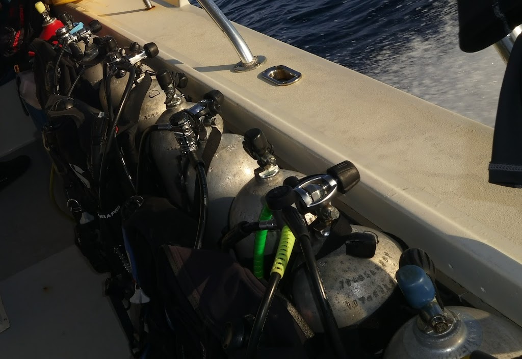 double down divers | 88 Yonge St N, Elmvale, ON L0L 1P0, Canada | Phone: (705) 826-3696