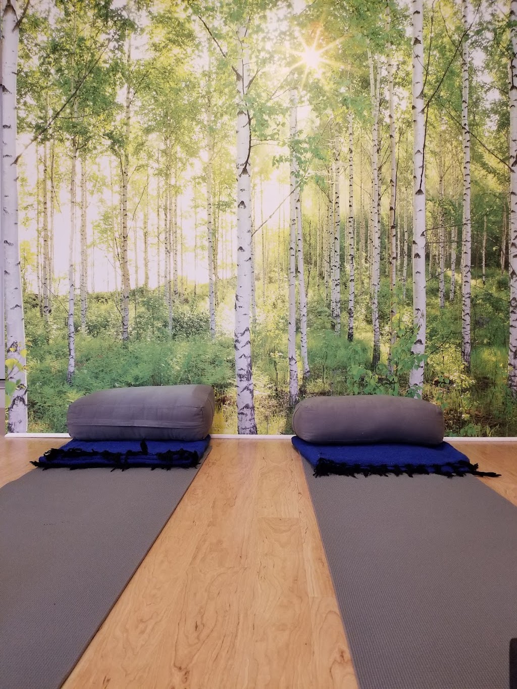 Rising Crow Yoga | 683044 Chatsworth Road 24, Holland Centre, ON N0H 1R0, Canada | Phone: (519) 794-0804