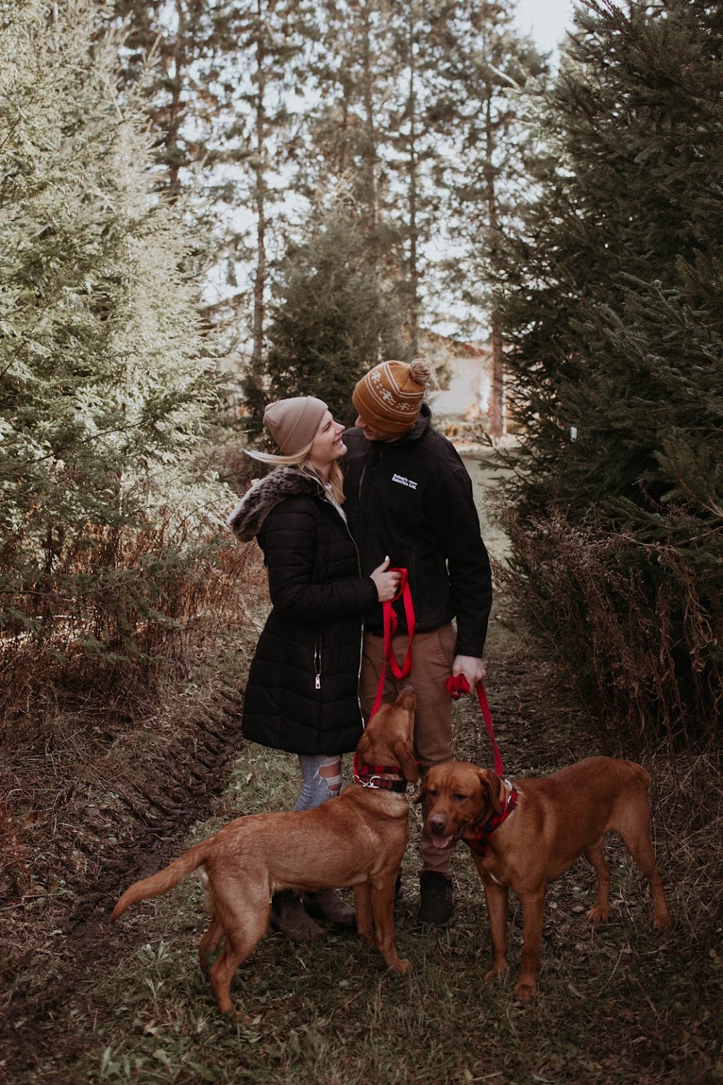Country View Labradors | 485527 Firehall Rd, Woodstock, ON N4S 7V8, Canada | Phone: (226) 888-0924