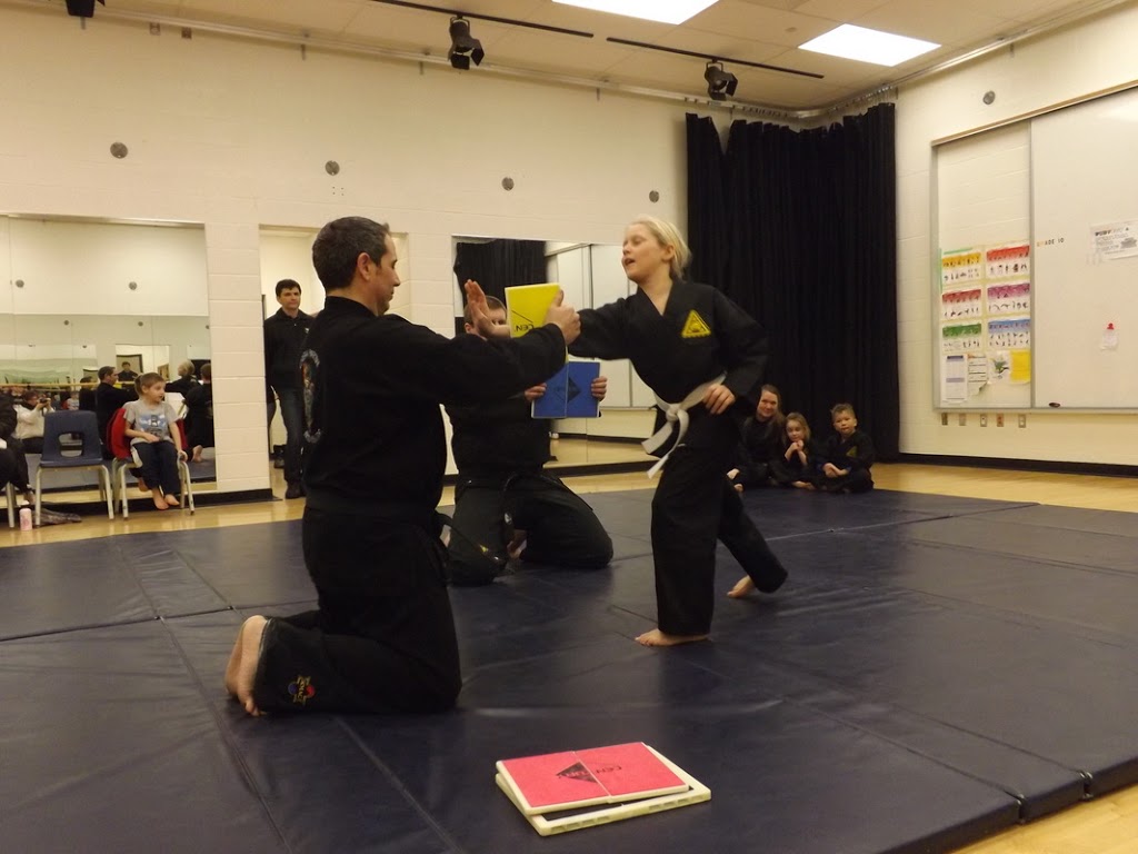 Korean Martial Arts Center | 460 Mapleton Ave, Barrie, ON L4N 9C2, Canada | Phone: (705) 220-6244