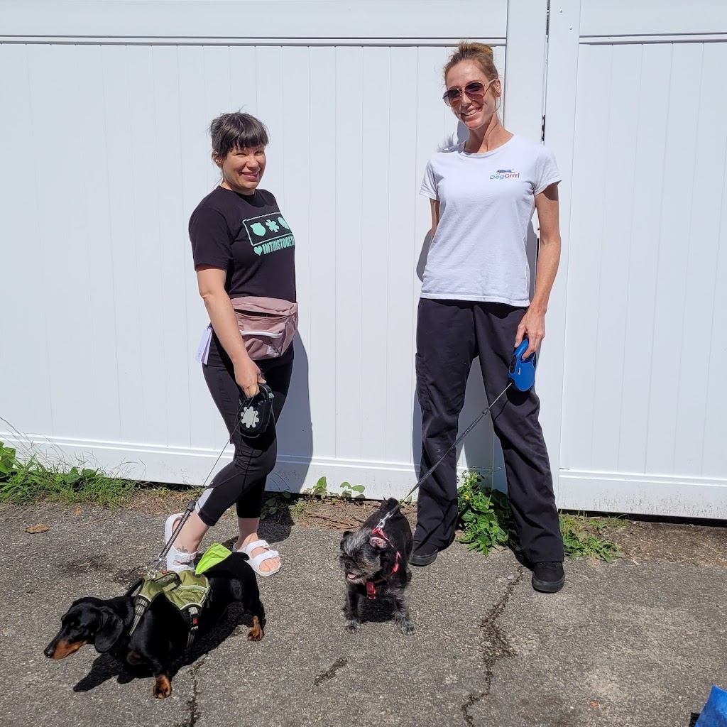 Dog Grrrl Canada | 70 Roc Rd, Tiny, ON L0L 2J0, Canada | Phone: (705) 302-8033