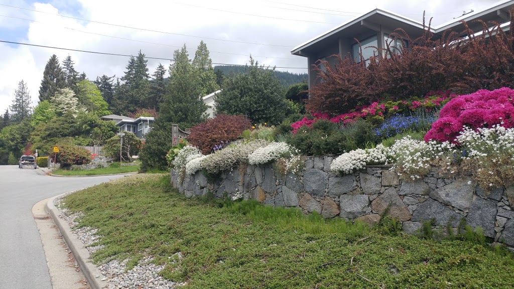 D T Gardening | Delmar Ct, Vancouver, BC V7N 3G1, Canada | Phone: (604) 724-5258