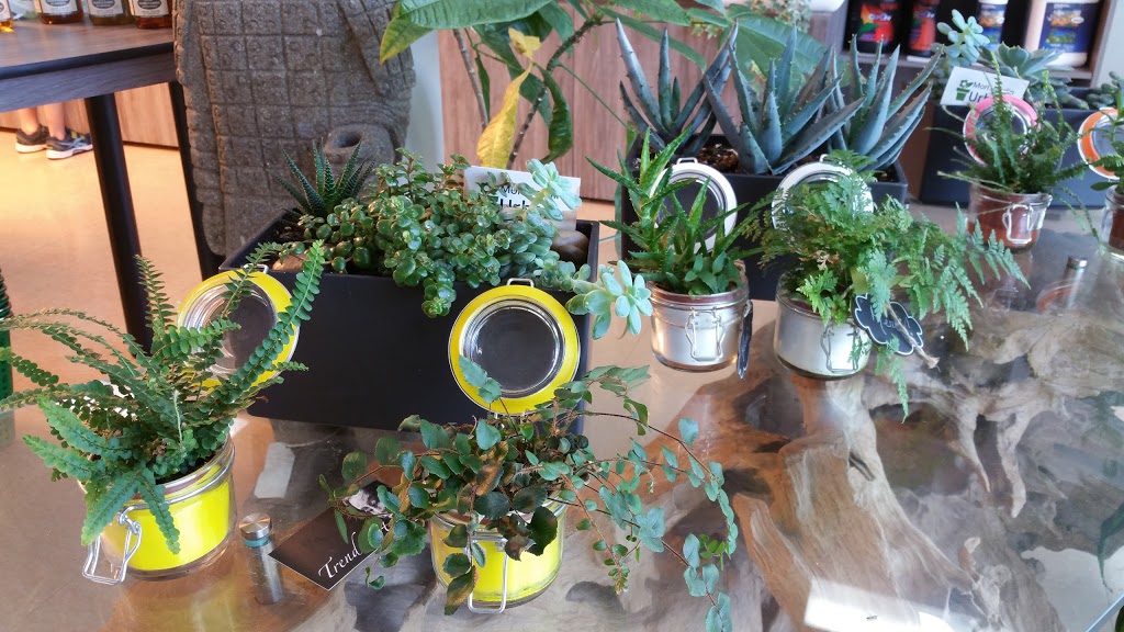 My Urban Garden Trois-Rivières | 6157 Rue Corbeil, Trois-Rivières, QC G8Z 4P8, Canada | Phone: (819) 372-0500