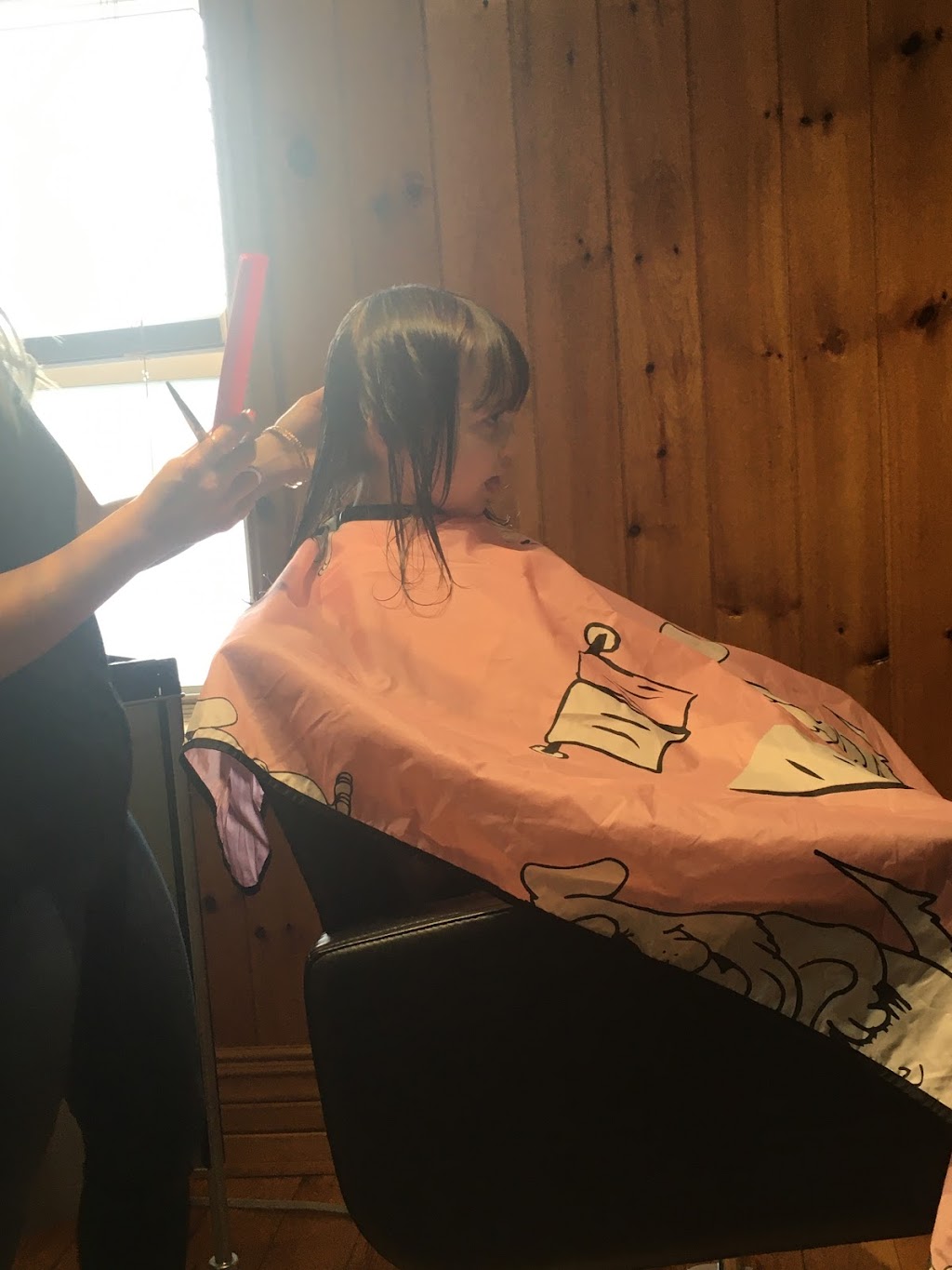 Salon de Coiffure The Only Chair | 15758 Boul Gouin O, Sainte-Geneviève, QC H9H 1C4, Canada | Phone: (514) 624-8914