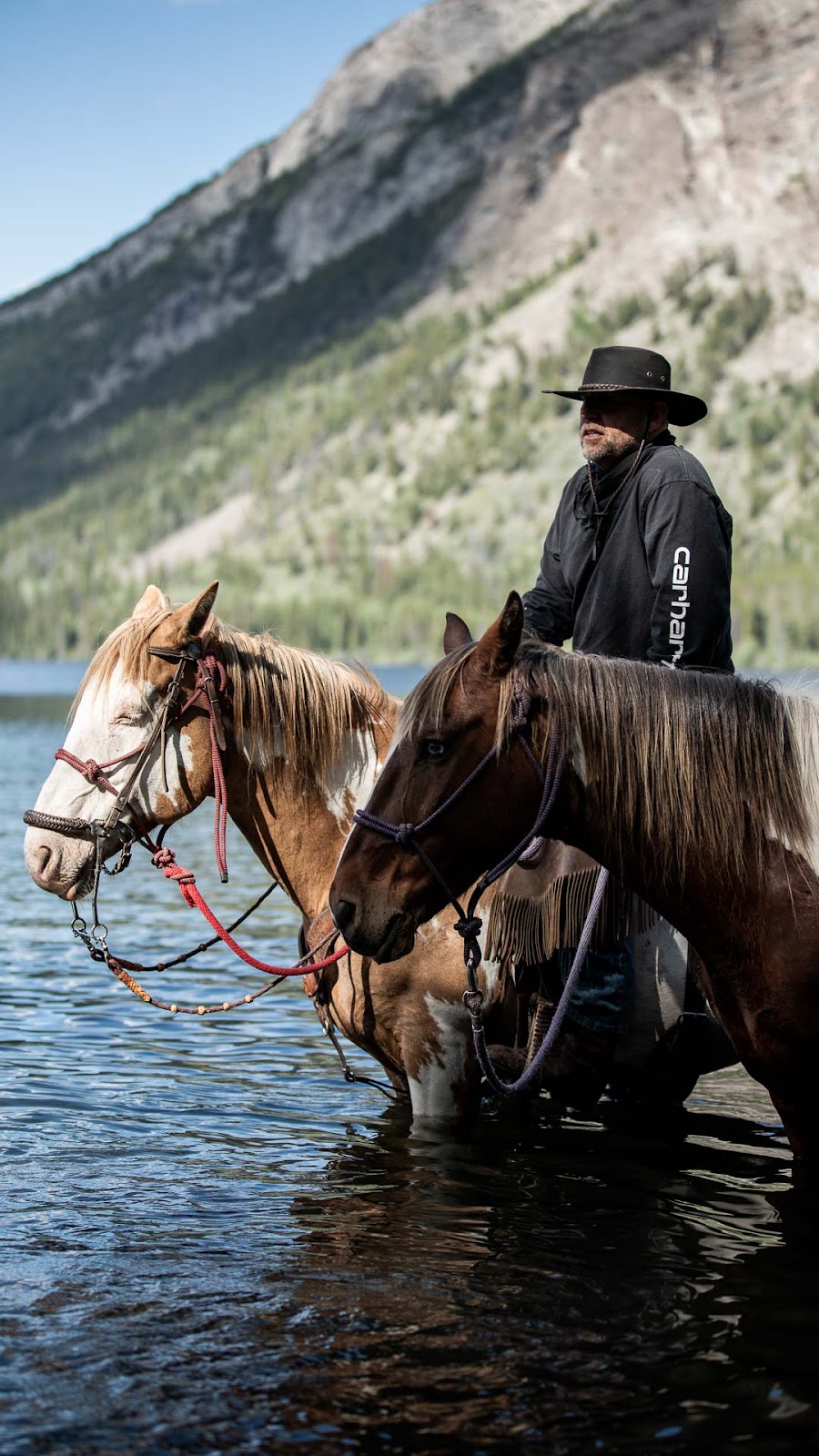 Flying L Ranch, Michael Lares | Nemaiah Valley Rd, Nemaiah Valley, BC V0L 1X0, Canada | Phone: (250) 302-2989