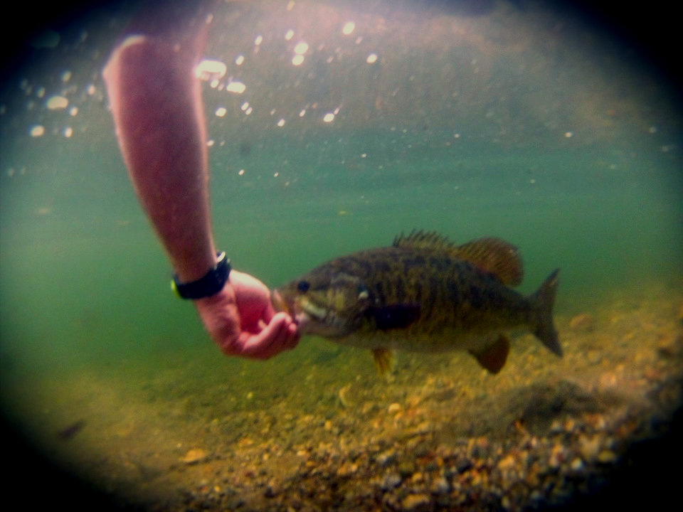 Natural Sports - The Fishing Store | 1572 Victoria St N, Kitchener, ON N2B 3E5, Canada | Phone: (519) 749-1620