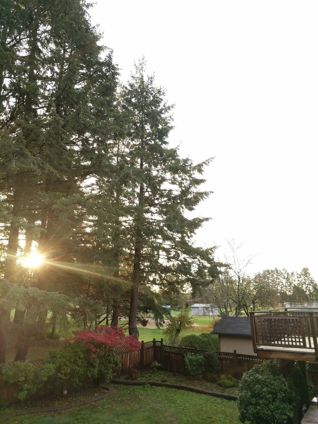 Gunderson Park | 7630 117 St, Delta, BC V4C 6A5, Canada | Phone: (604) 873-7000