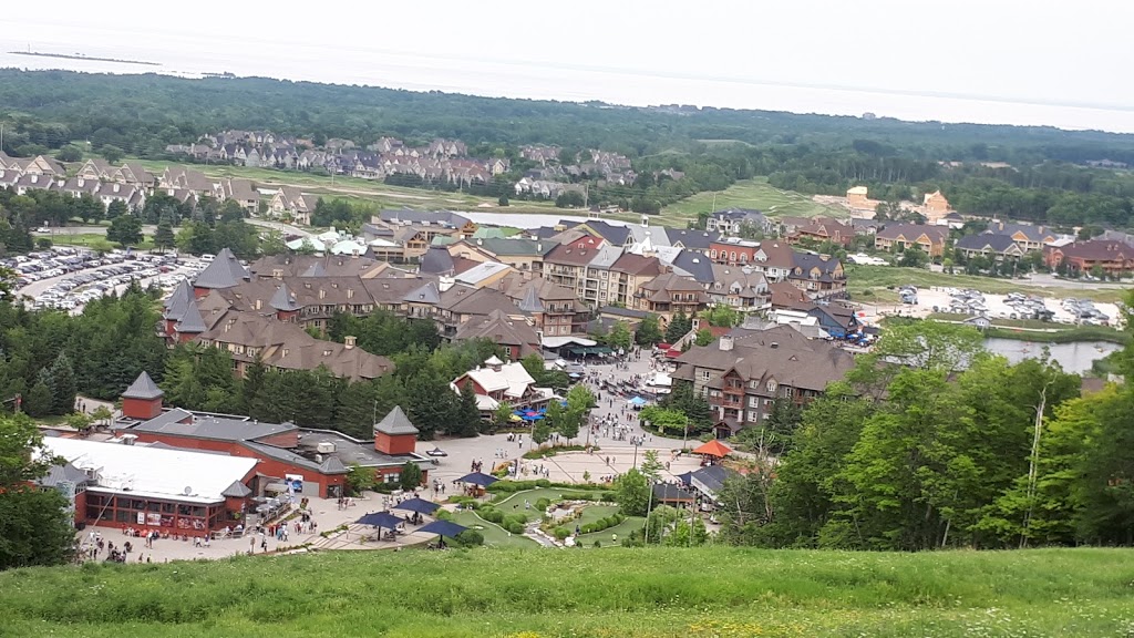Blue Mountain | 796562 Grey County Rd 19, The Blue Mountains, ON L9Y 0S5, Canada | Phone: (877) 445-0231