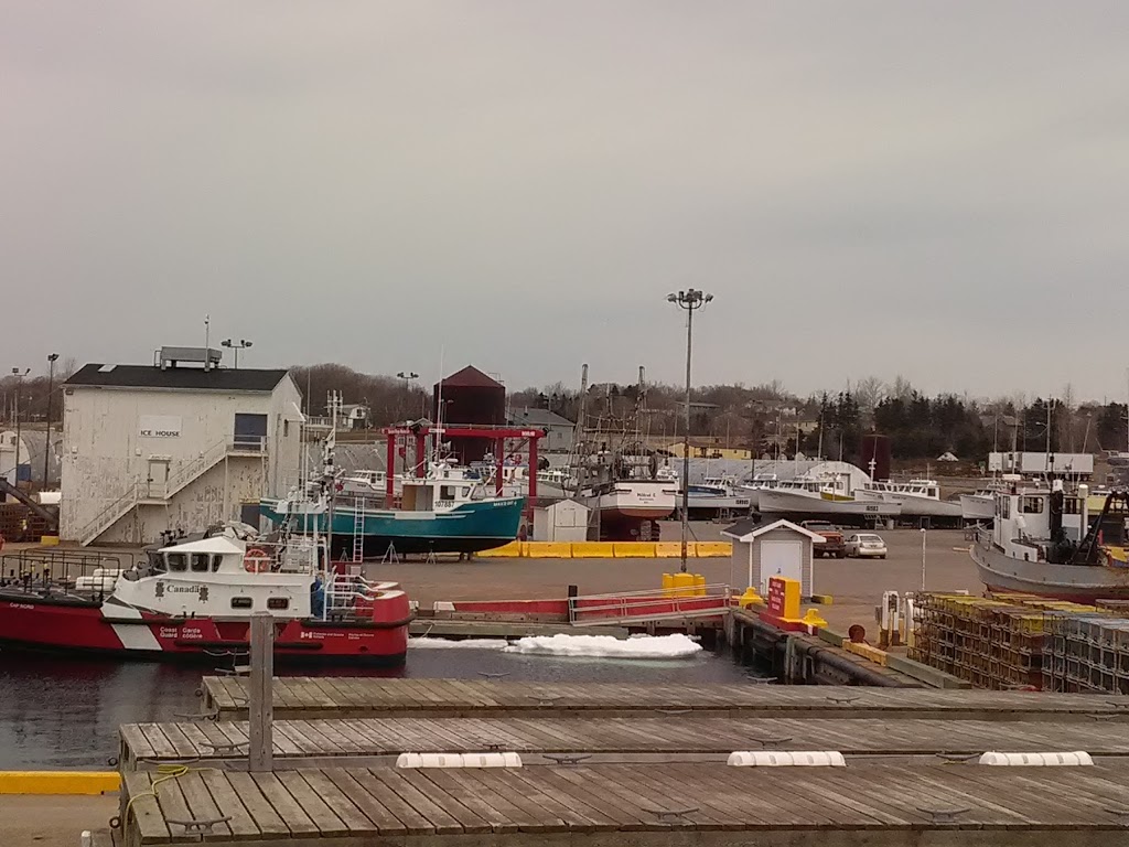 Paradise On The Sea Adventures | 118 Breakwater St, Souris, PE C0A 2B0, Canada | Phone: (902) 969-7727