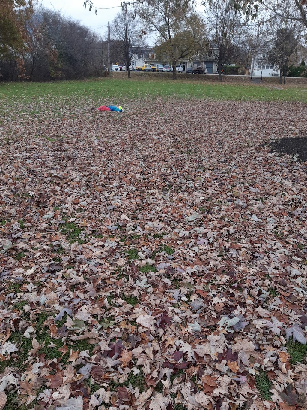 Sunnyside Park | 340 Main St, Sussex, NB E4E 1E4, Canada | Phone: (506) 432-4573