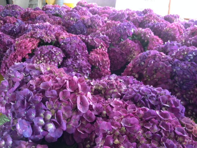 Fair Trade Floral | 7125 Pacific Cir #7, Mississauga, ON L5T 2A5, Canada | Phone: (905) 696-0440