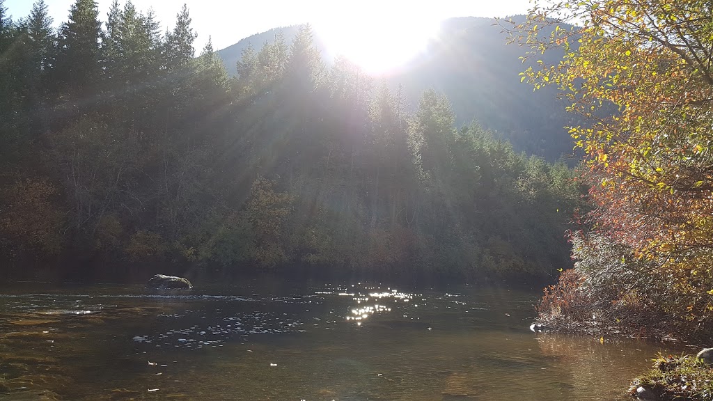 Nanaimo Lakes Deadwood Campground | Nanaimo River Rd, Nanaimo C, BC V0R 1V0, Canada | Phone: (250) 914-9525