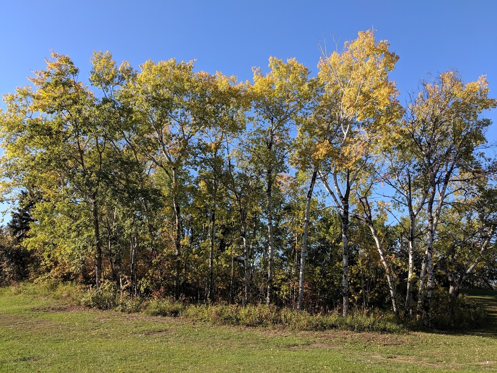 Leask Golf Course | Leask No. 464, SK S0J 1M0, Canada | Phone: (306) 747-7933