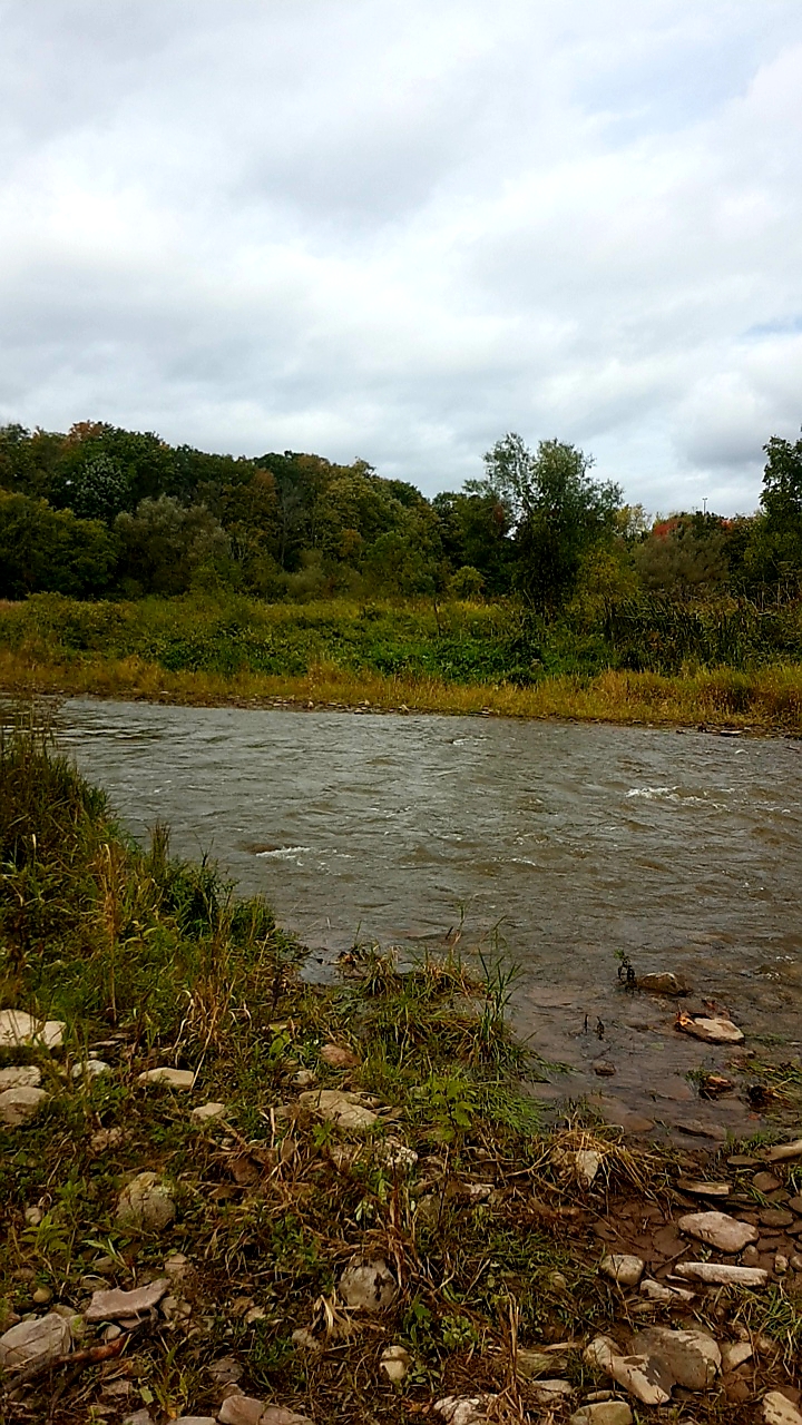 Bronte Creek Lands | West Oakville, Oakville, ON L6L, Canada