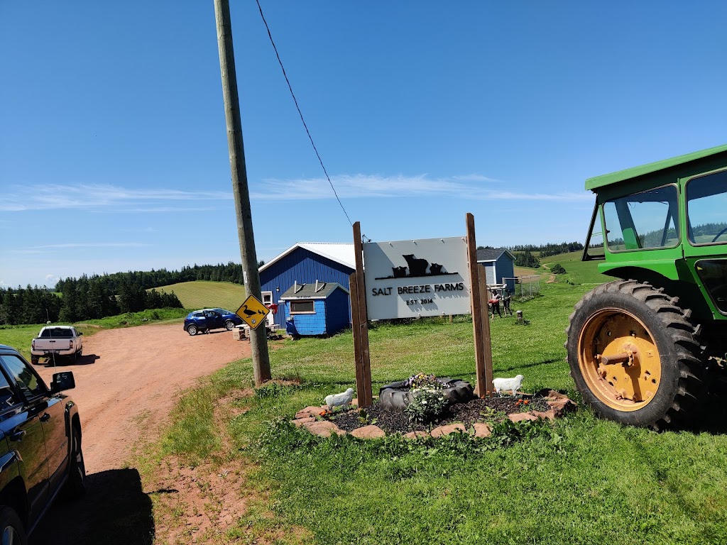 Salt Breeze Farms | PE-244, North Wiltshire, PE C0A 1Y0, Canada | Phone: (902) 956-4397