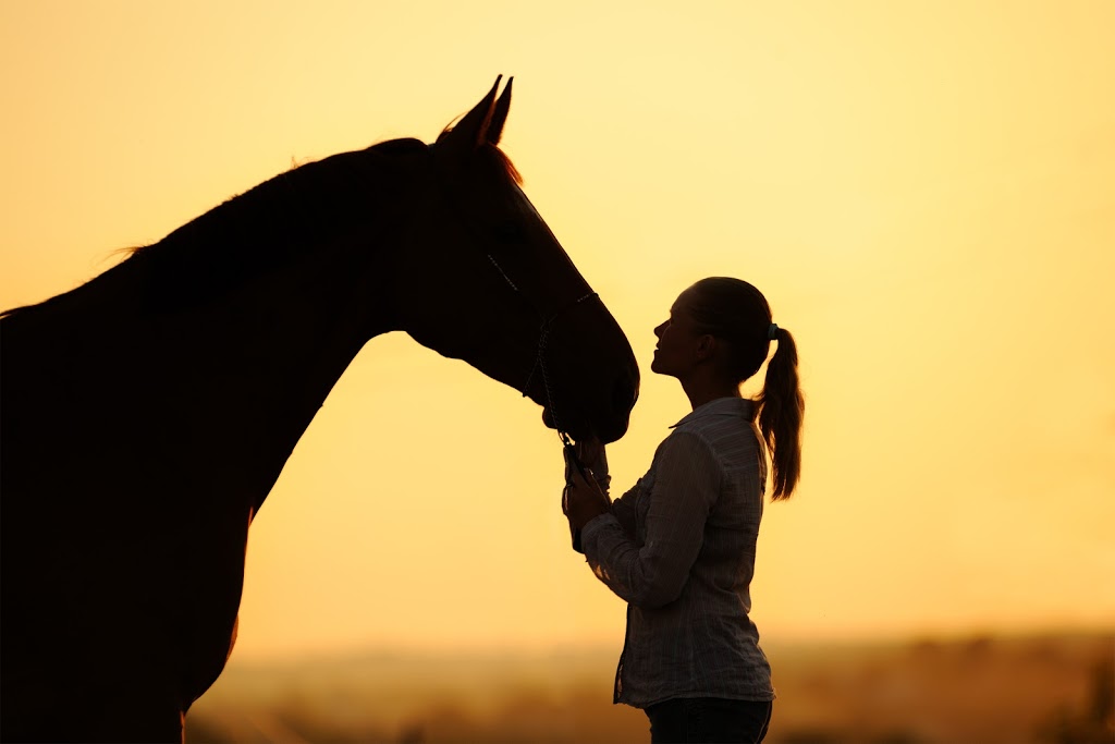 Cambrian Equestrian Centre | Windy Hill Farm, 1046 Ramsay Concession 8, Carleton Place, ON K7C 3P1, Canada | Phone: (613) 302-8821
