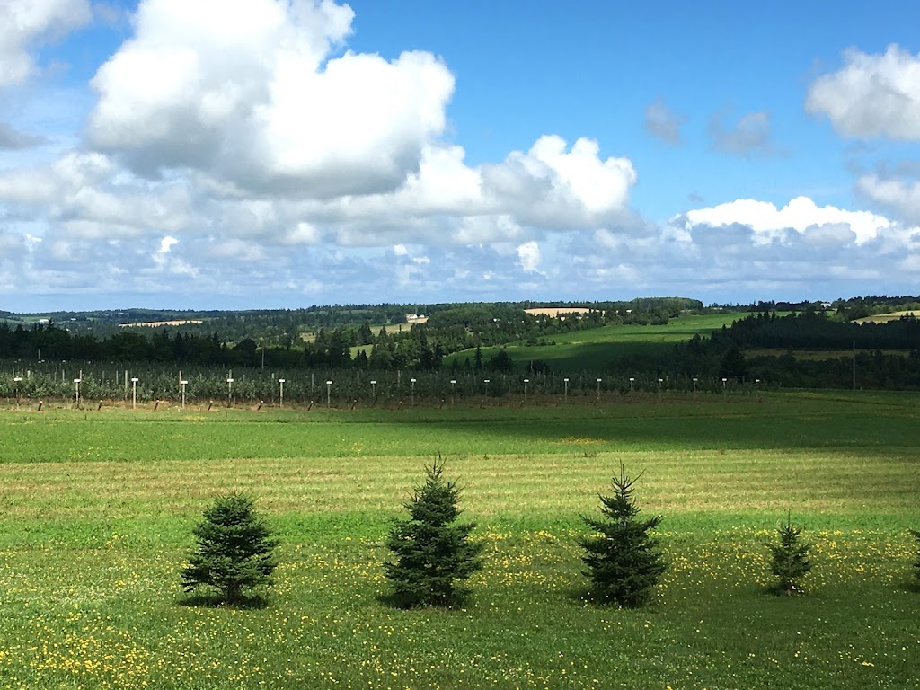 Belvedere Orchard U-Pick | 1481 Millboro Rd, North Wiltshire, PE C0A 1Y0, Canada | Phone: (902) 629-9974
