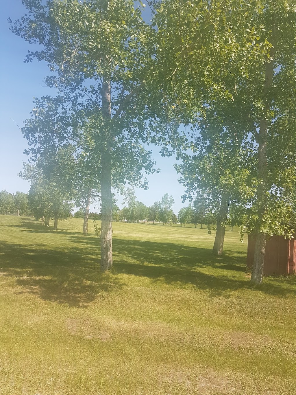 Castor Golf Club | Box 753, 4599 45 St, Castor, AB T0C 0X0, Canada | Phone: (403) 882-2112