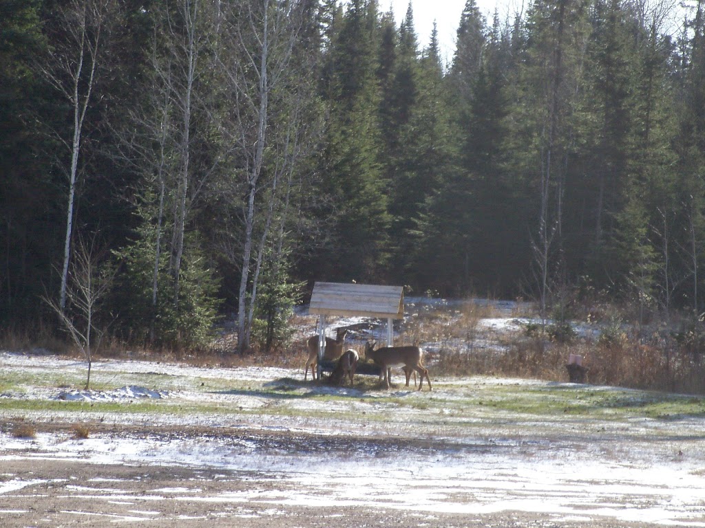 Auberge Lac Murray | 172 Chemin du Lac Murray, Aumond, QC J0W 1W0, Canada | Phone: (819) 441-2274