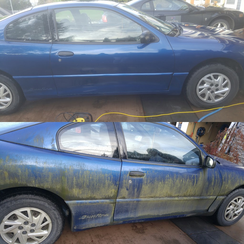 Keep It Shining-auto detailing | 7284 Marble Hill Rd, Chilliwack, BC V4Z 1J5, Canada | Phone: (604) 845-5291