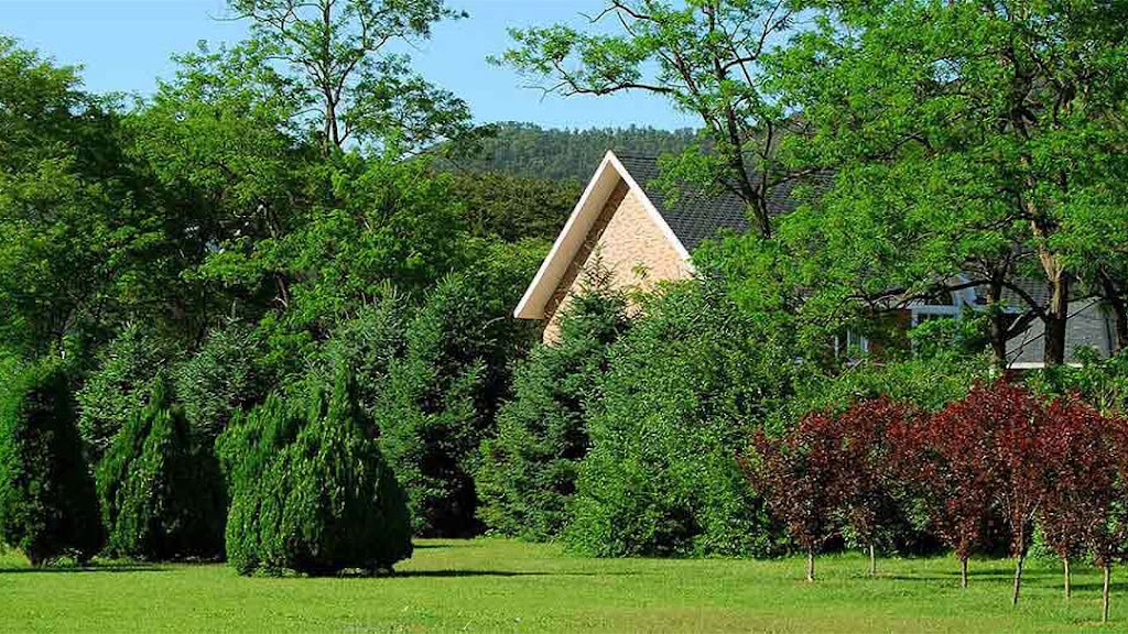 Kildonan Tree Service Ltd | 275 Transport Rd, Oakbank, MB R0E 1J3, Canada | Phone: (204) 233-9337