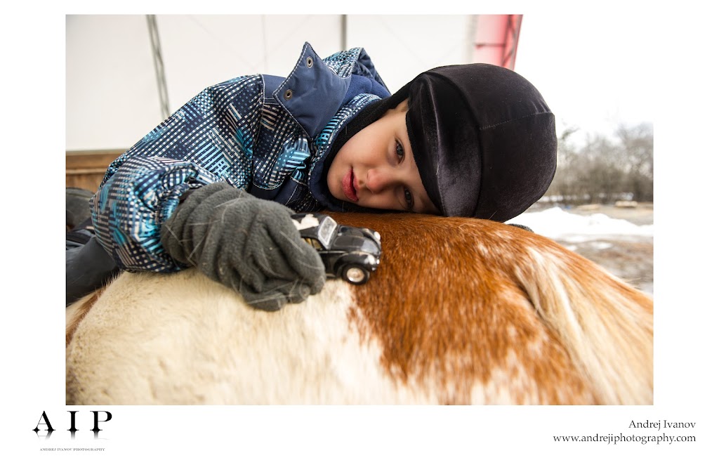 Heal With Horses Therapeutic Centre | 997 Danforth Rd, Hillier, ON K0K 2J0, Canada | Phone: (613) 399-5952