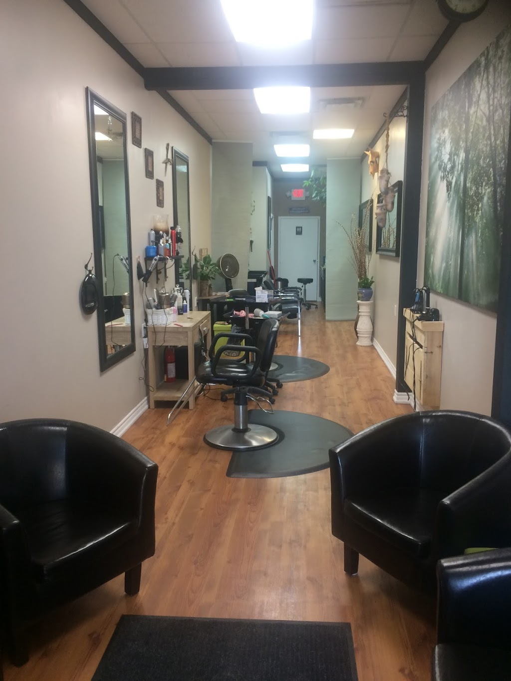 Cerene Hair Design | 419 Dundas St E, Waterdown, ON L8B 0K4, Canada | Phone: (289) 237-3330