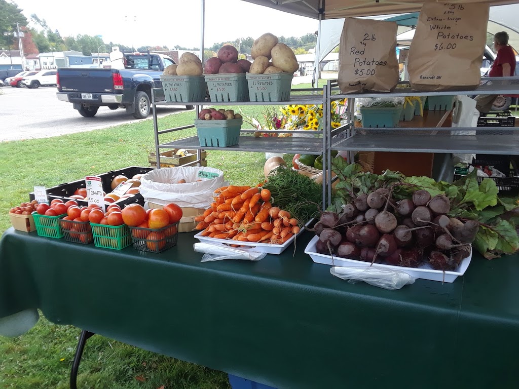 Noreens Fruitful Farm | 35029 Hwy 28 East, Bancroft, ON K0L 1C0, Canada | Phone: (613) 281-1868