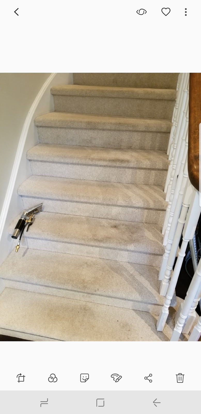 Magic Carpet Cleaning | 12 Gaudi Rd, Scarborough, ON M1B 0B4, Canada | Phone: (437) 999-3842