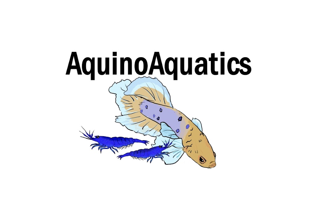 AquinoAquatics | 215 58 St SW, Edmonton, AB T6X 0K9, Canada | Phone: (780) 278-0831
