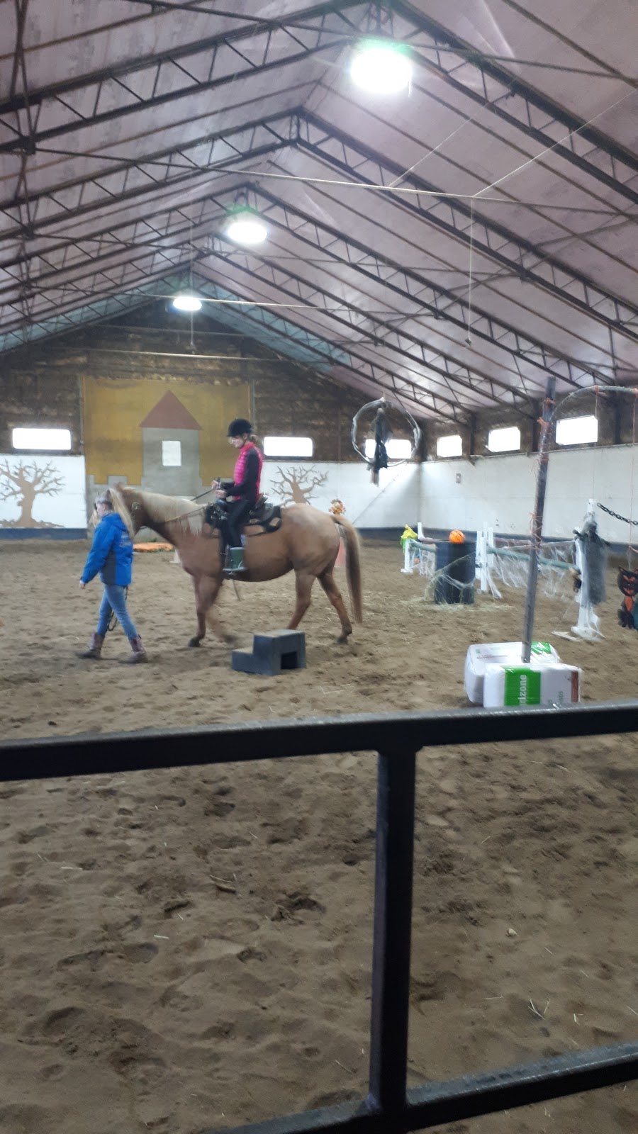 The Equi-AMI stables | 1251 Chem. des Défricheurs, Shawinigan, QC G9T 5K4, Canada | Phone: (819) 533-3221