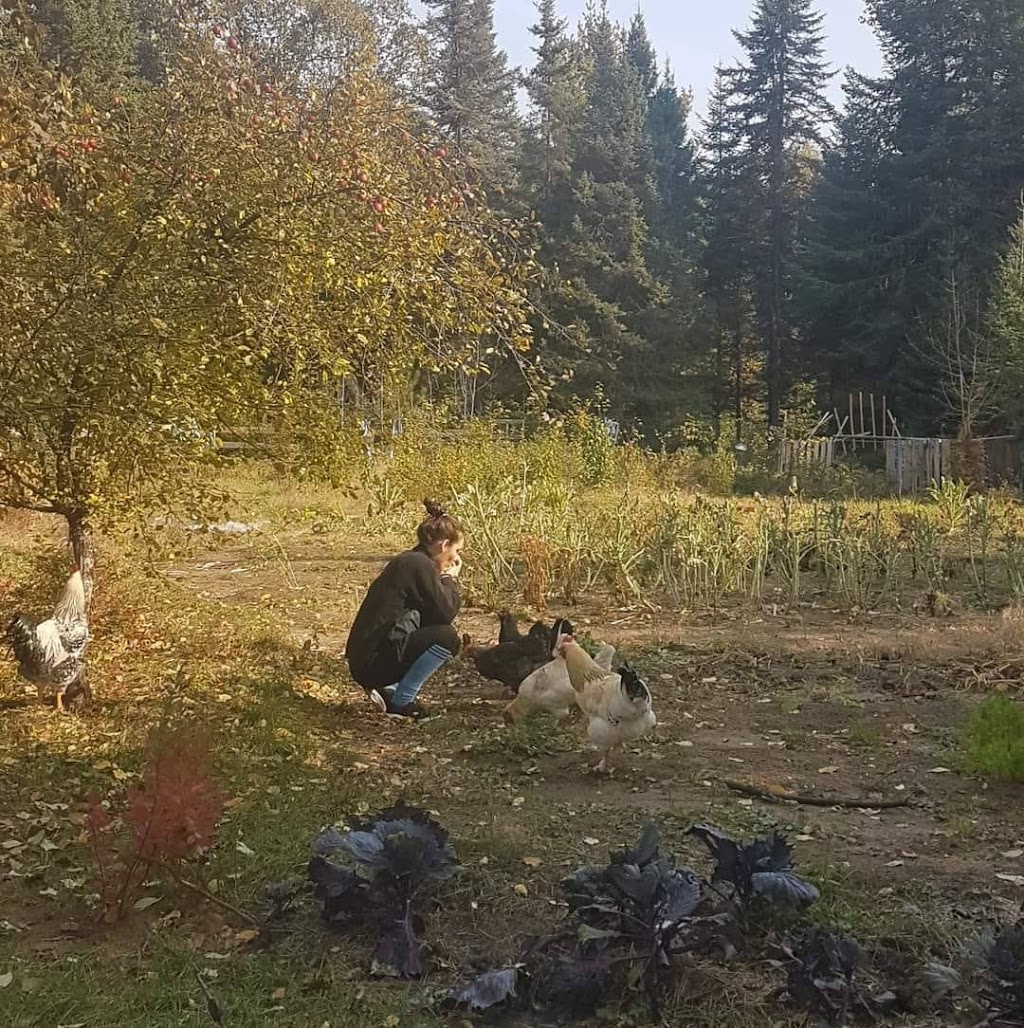 Les Fées Sorcières s.e.n.c. | 330 Chem. des Iles, LAscension, QC J0T 1W0, Canada | Phone: (873) 225-0181