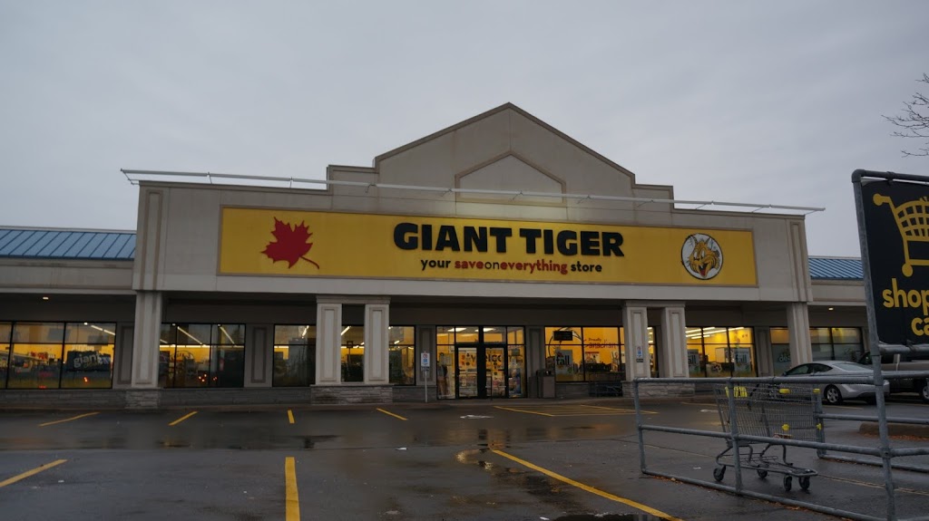 Giant Tiger | 6161 Thorold Stone Rd, Niagara Falls, ON L2J 1A4, Canada | Phone: (905) 371-9697