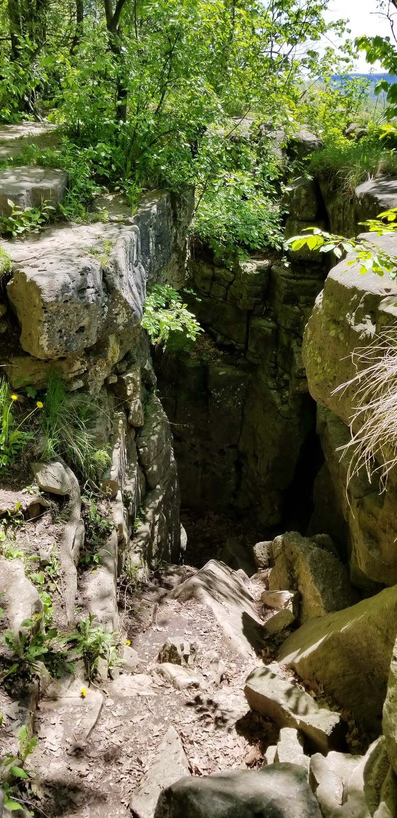 Rattlesnake Point Conservation Area | 7200 Appleby Line, Milton, ON L9E 0M9, Canada | Phone: (905) 854-0262
