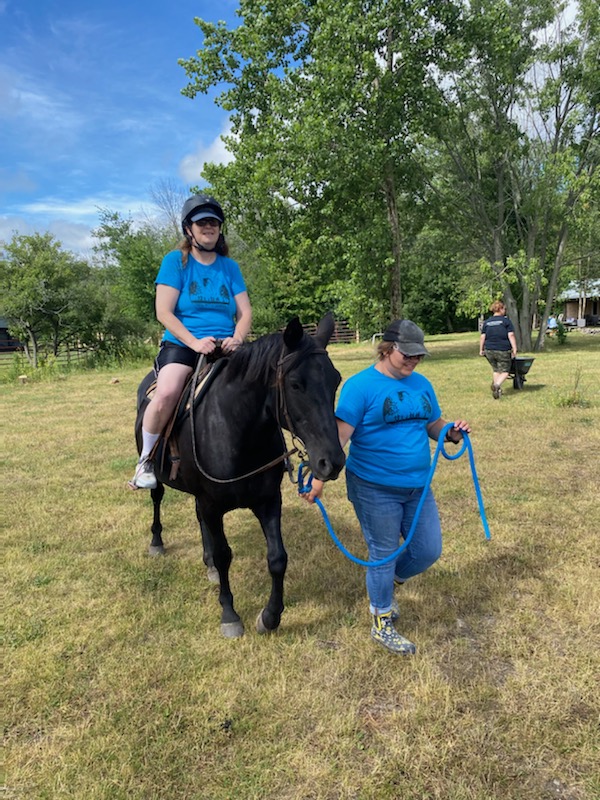 Heal with Horses | 997 Danforth Rd, Hillier, ON K0K 2J0, Canada | Phone: (613) 399-5952