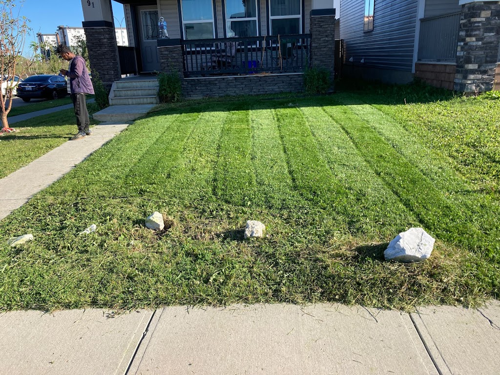 Oceania landscaping Ltd | 453 Martindale Blvd NE A, Calgary, AB T3J 3M8, Canada | Phone: (587) 582-7519