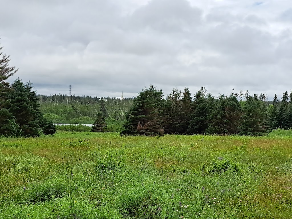 Oceanview Lookoff, Prince Edward Island National Park | 1794 Gulf Shr Pkwy W, Cavendish, PE C0A 1M0, Canada | Phone: (902) 672-6350