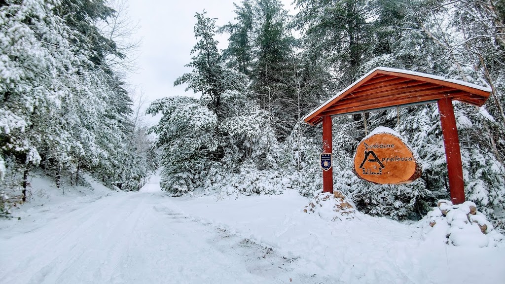 Domaine Appaloosa | 3015 Chemin de la Forêt, Notre-Dame-de-la-Merci, QC J0T 2A0, Canada | Phone: (450) 543-4591