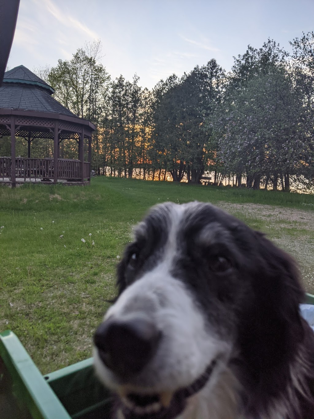 Camp Quin-mo-lac | 336 Franks Rd, Tweed, ON K0K 3J0, Canada | Phone: (613) 473-2877