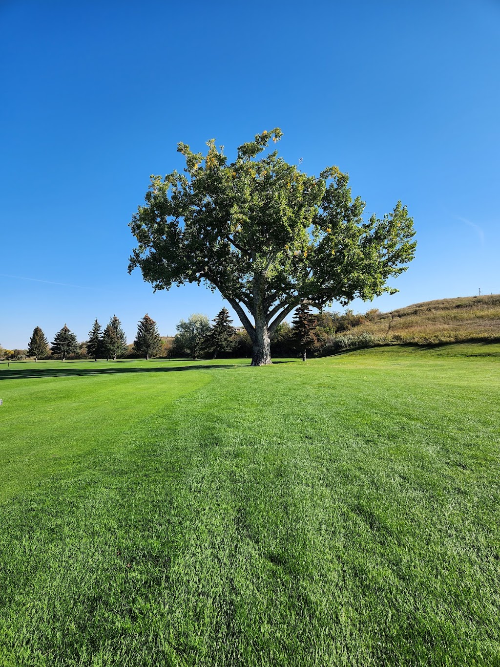 Magrath Golf Club | Township Rd 53A, Magrath, AB T0K 1J0, Canada | Phone: (403) 758-3054
