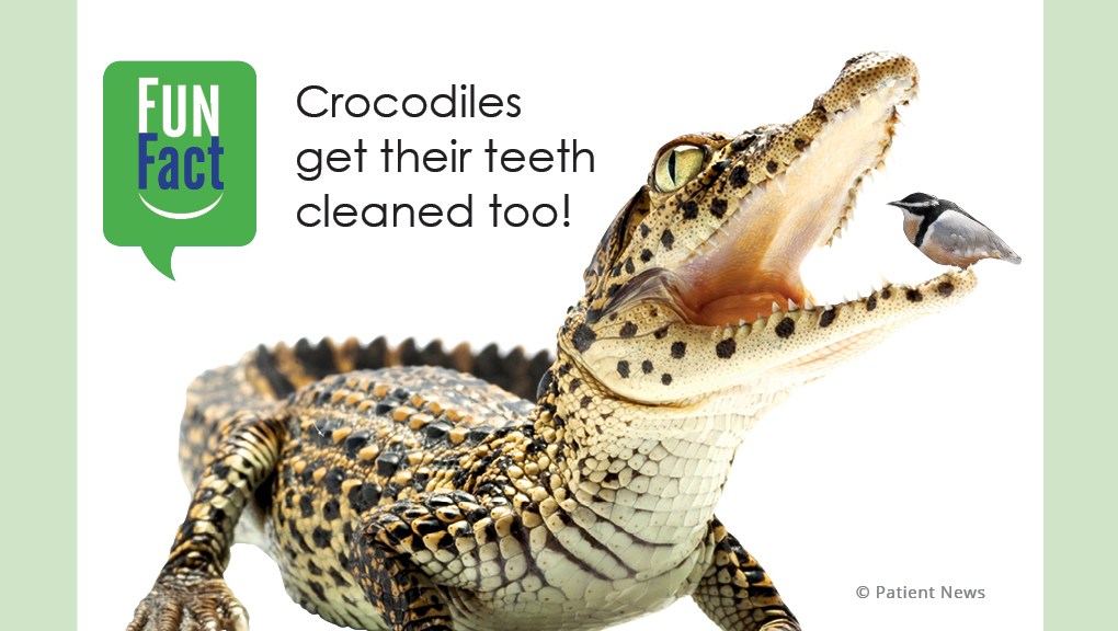 MAK dental | 5534 111 St NW, Edmonton, AB T6H 3E9, Canada | Phone: (587) 402-1042