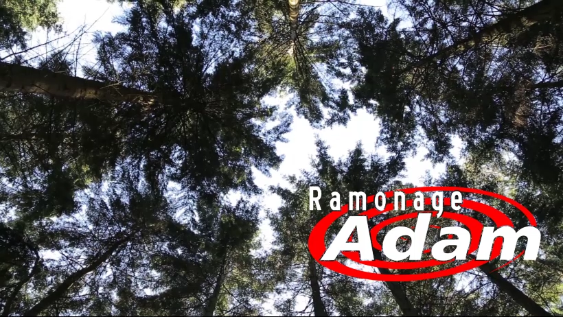 Ramonage Adam | 75 Place Lemarier, Trois-Rivières, QC G8T 8G7, Canada | Phone: (819) 373-3088